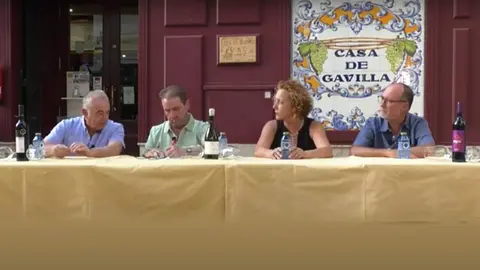 Terraza Televaldepeñas