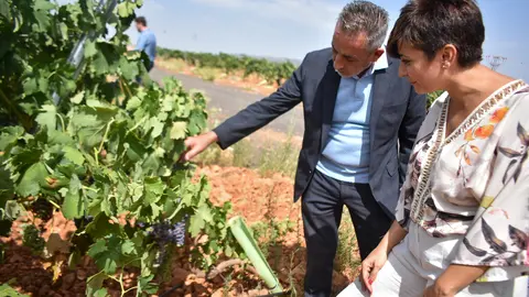 Visita Isabel Rodríguez a Cooperativa Vinícola de Valdepeñas (1)