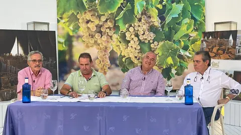 WhatsApp Image 2023-08-16 at 21.12.46