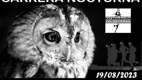 carrera-nocturna-2023