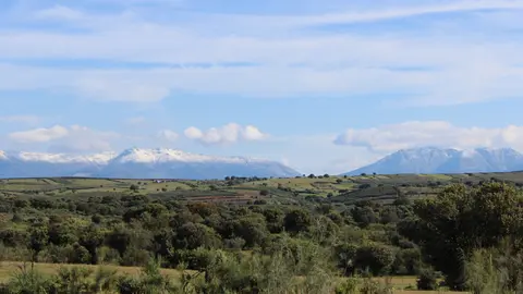 FOTONOTICIA CURSO COMUNICACIÓN SOBRE GESTIÓN FORESTAL