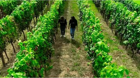 Mujeres rurales MAPA