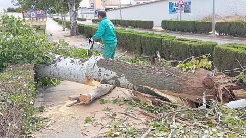 WhatsApp Image 2023-10-23 at 11.31.50 (1)