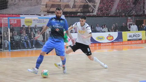 Ribera Navarra Viña Albali Valdepeñas (1)