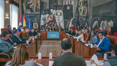 Pleno Diputación Provincial