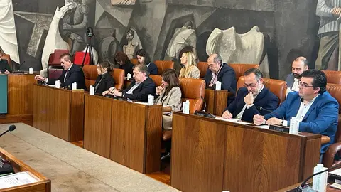 Imagen Grupo PSOE Pleno