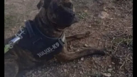 WhatsApp Image 2024-01-01 at 20.13.53