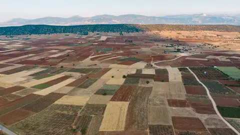 Aerial view of meadows and cultivated fields with pathway. Birds view. Arable land.