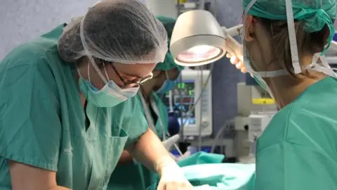 Donación de órganos en Castilla-La Mancha en 2013