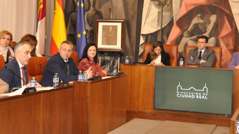 Pleno de la Diputación