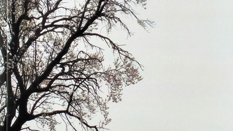 Portada Proyecto Terra