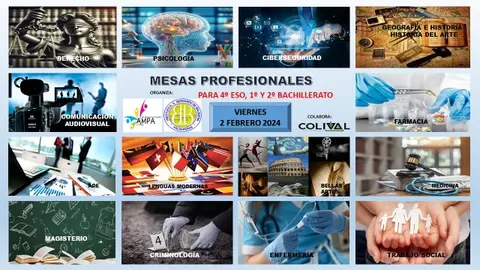 Mesas Profesionales en el IES Balbuena