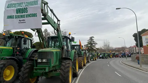 Manifestación de agricultores en Ciudad Real (1)