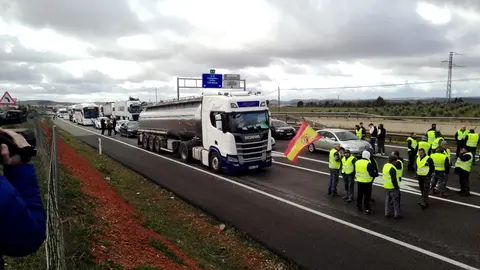 WhatsApp Image 2024-02-10 at 17.29.45