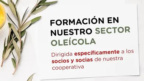 WhatsApp Image 2024-03-06 at 08.51.39