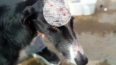 WhatsApp Image 2024-03-21 at 13.24.42