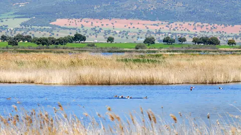 Día Mundial del Agua
