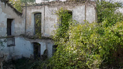 Fotografía de Alfredo Sánchez Alcaide.