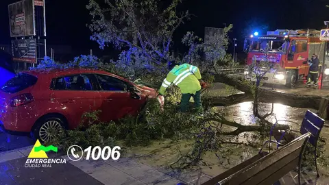 SCIS_Caída árboles Tomelloso