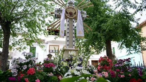 Carrizosa cruces 2023