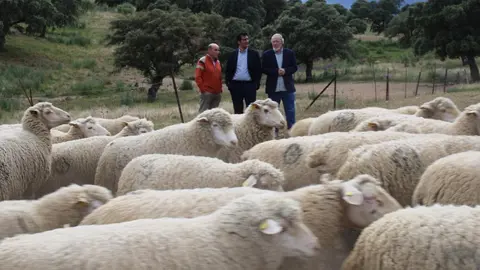 El vicepresidente segundo de la JUuta (centro) en la fiesta de la Trashumancia de Alamillo