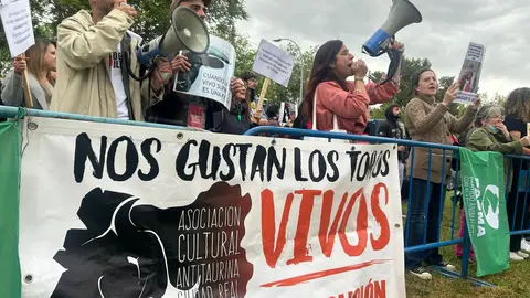 MANIFESTACION AUTONOMICA CLM  (1)