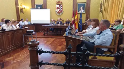 Pleno de sorteo de mesas electorales (2)