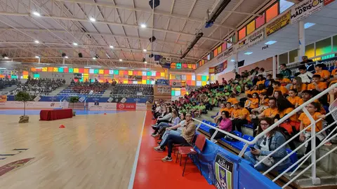 OLIMPIADAS VALDEPEÑAS