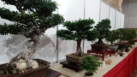 WhatsApp Image 2024-05-17 at 18.53.51