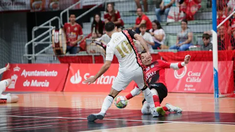 El Pozo Murcia Viña Albali (1)