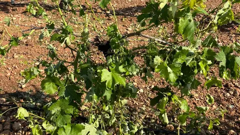 WhatsApp Image 2024-06-04 at 10.10.58