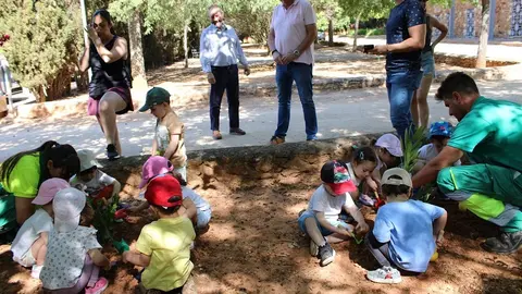 050624 VA-PLANTACION 1