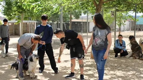 200624 VA-CENTRO CANINO 2