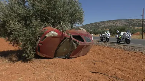 WhatsApp Image 2024-06-24 at 11.44.12 (1)