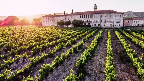 bodegas-enoturismo-vino-vendimia-1538589949