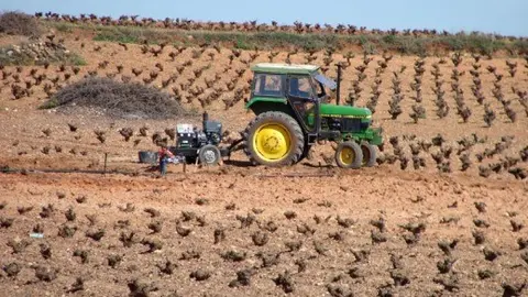 2024-08-16_Ley de la cadena alimentaria clm F1