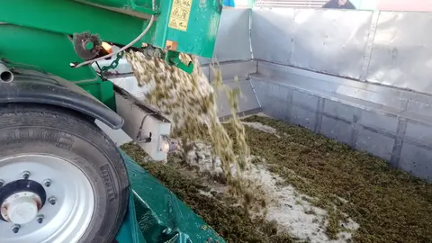 WhatsApp Image 2024-08-21 at 13.32.23