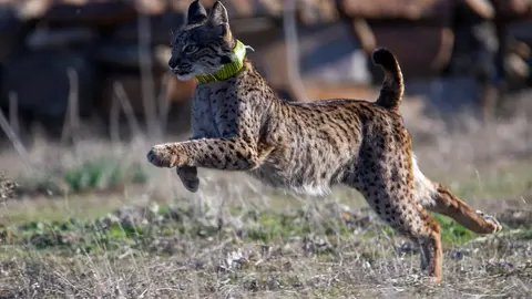 Foto Consejería de Fomento de Castilla-La Mancha