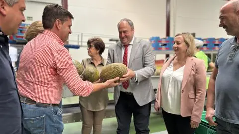 p1i8fc0ga11b65bssf07ih41mo4