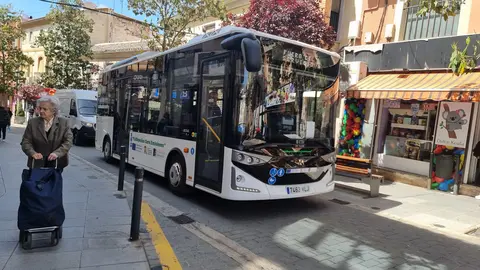 SERVICIO AUTOBUSES VALDEPE&Ntilde;AS