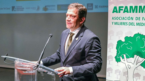 4030549a12fbd462823688f433aa5b0e_XL