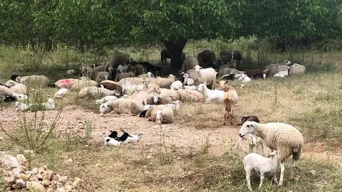 p1gs25uqdi12691v751pjp1ebb1bum4