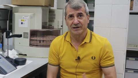 José Rafael Ruiz Arrebola Catedrático Universidad de Córdoba