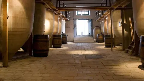 La Bodega de las Estrellas