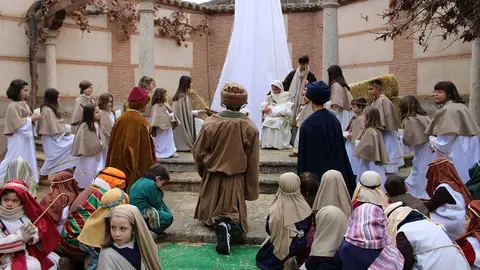 BELEN COLE SAN AGUSTIN 41