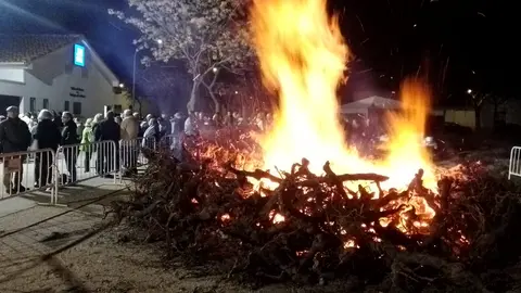 WhatsApp Image 2025-01-12 at 09.22.39