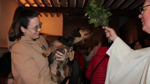 170125 VA-SAN ANTON 7