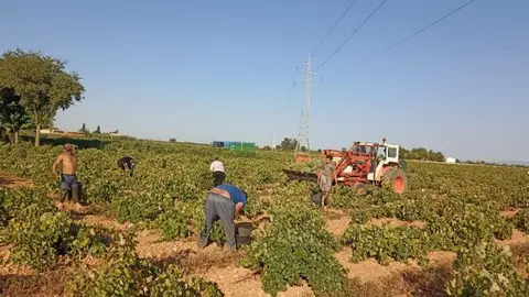 asaja_inspecciones_700x350