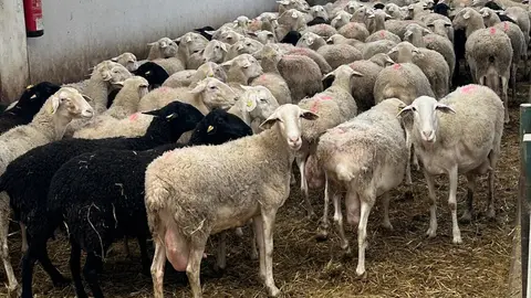 p1iin4vtah1k3n1er07ou3cv8g14