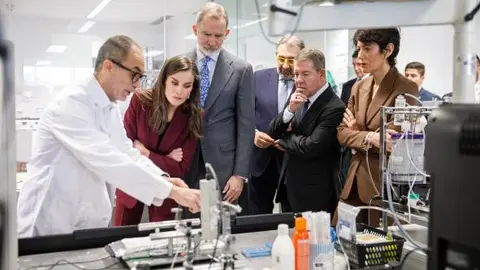 p1ijt3gn1629514lv1p831n7h8644